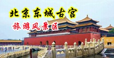 抽插内射乱伦视频中国北京-东城古宫旅游风景区